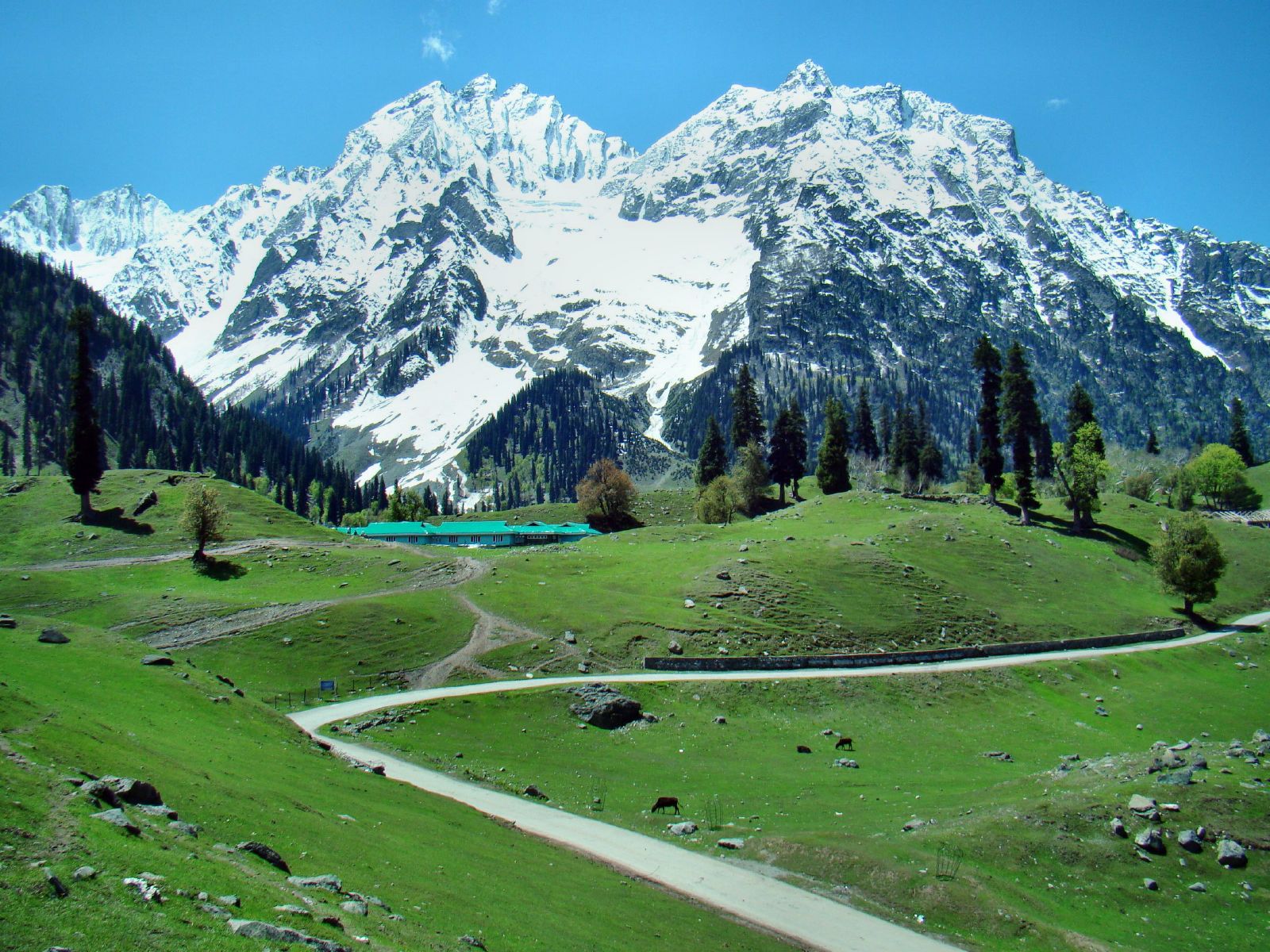 Srinagar_Manali-Bike-Ride_2.jpg