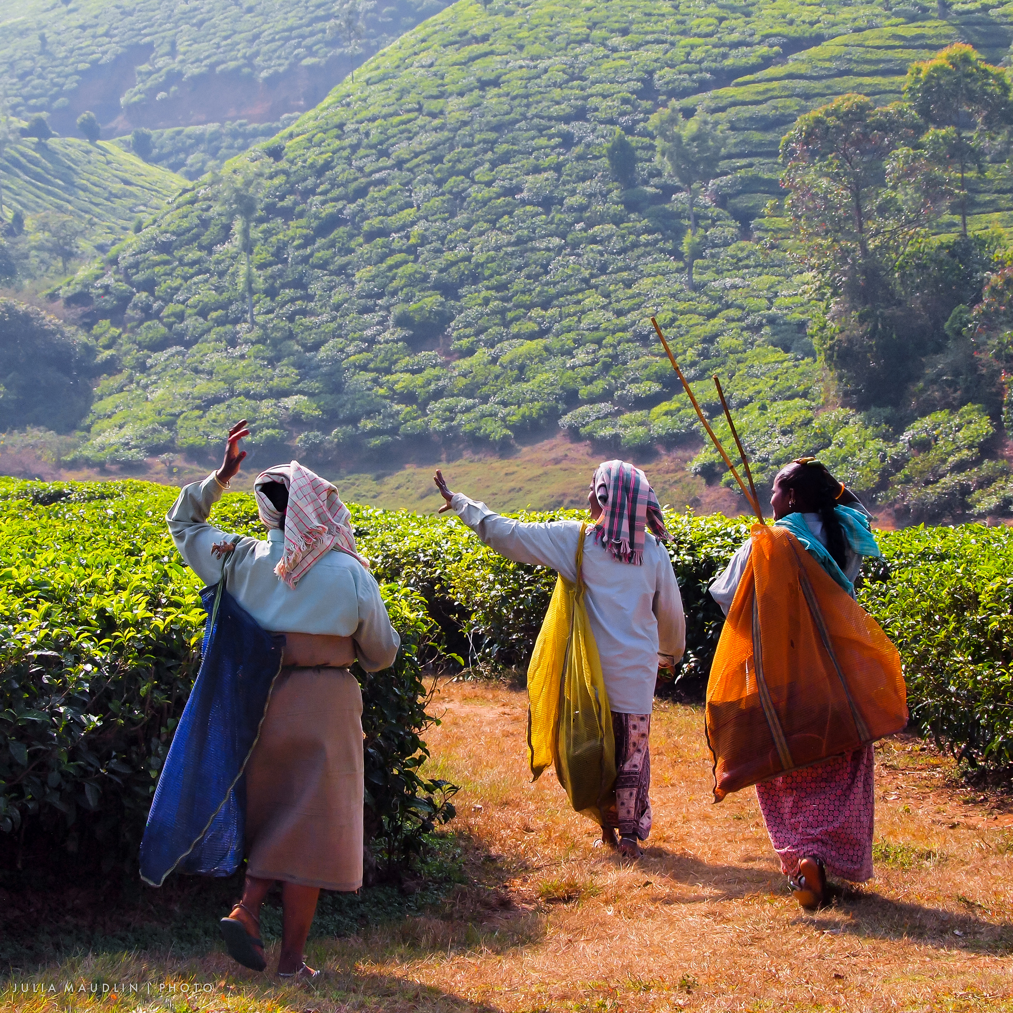 india-tea-estate-kanan-devan-hills-bike-tour-fljuliamaudlin.jpg